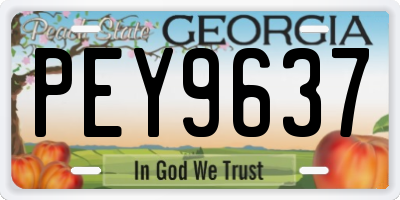 GA license plate PEY9637