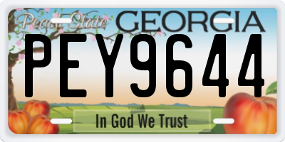 GA license plate PEY9644