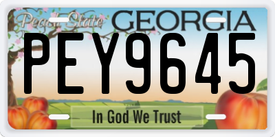 GA license plate PEY9645
