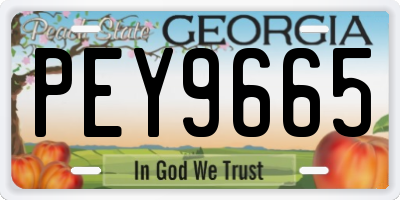 GA license plate PEY9665