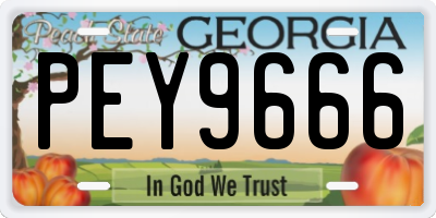GA license plate PEY9666