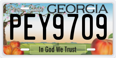 GA license plate PEY9709