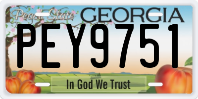 GA license plate PEY9751