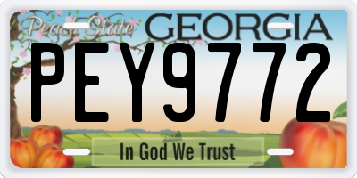 GA license plate PEY9772