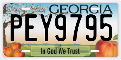 GA license plate PEY9795