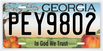 GA license plate PEY9802
