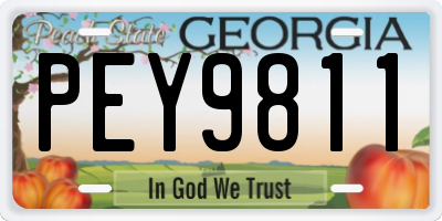 GA license plate PEY9811