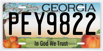 GA license plate PEY9822