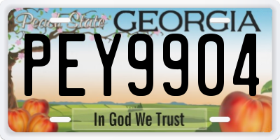 GA license plate PEY9904