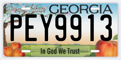 GA license plate PEY9913