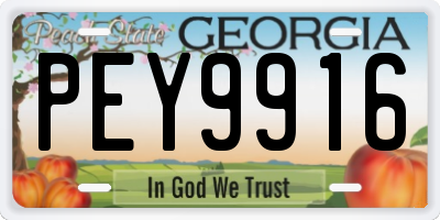 GA license plate PEY9916