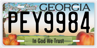 GA license plate PEY9984