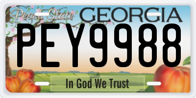 GA license plate PEY9988