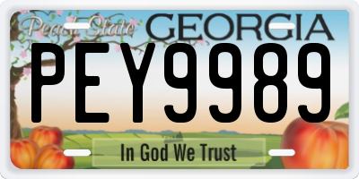 GA license plate PEY9989