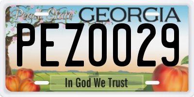 GA license plate PEZ0029