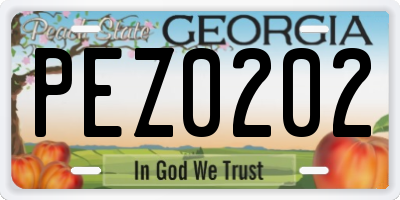 GA license plate PEZ0202