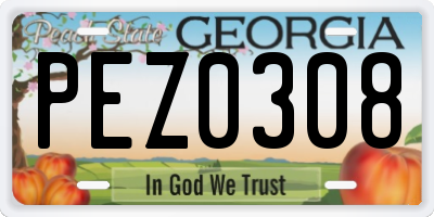 GA license plate PEZ0308