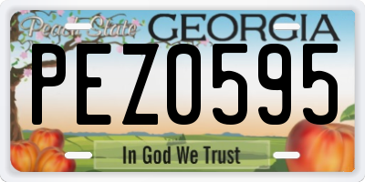 GA license plate PEZ0595