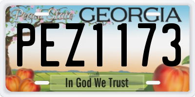 GA license plate PEZ1173