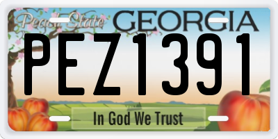 GA license plate PEZ1391