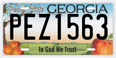 GA license plate PEZ1563