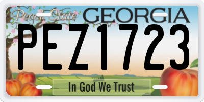GA license plate PEZ1723