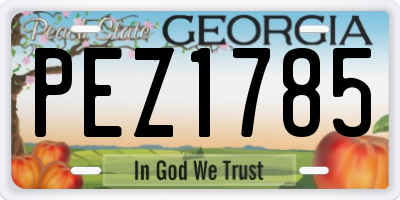 GA license plate PEZ1785