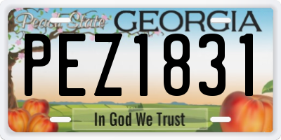 GA license plate PEZ1831