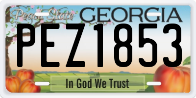 GA license plate PEZ1853