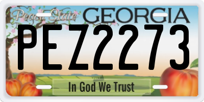 GA license plate PEZ2273