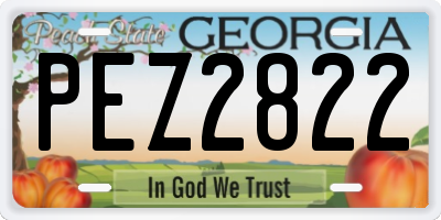 GA license plate PEZ2822