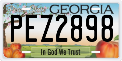 GA license plate PEZ2898