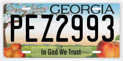 GA license plate PEZ2993