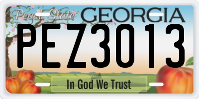 GA license plate PEZ3013