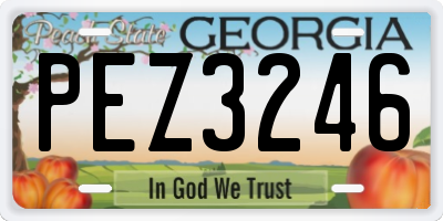 GA license plate PEZ3246