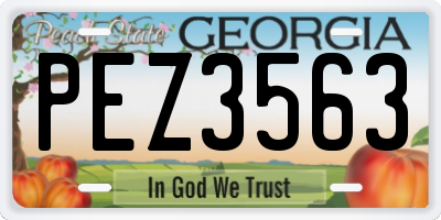 GA license plate PEZ3563