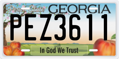 GA license plate PEZ3611