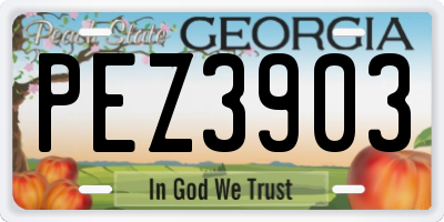 GA license plate PEZ3903