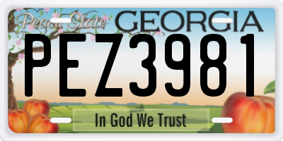 GA license plate PEZ3981