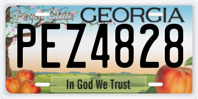 GA license plate PEZ4828