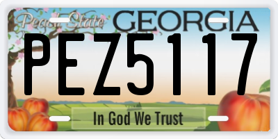 GA license plate PEZ5117