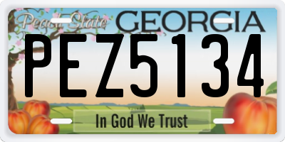 GA license plate PEZ5134