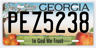 GA license plate PEZ5238