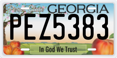 GA license plate PEZ5383