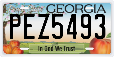 GA license plate PEZ5493