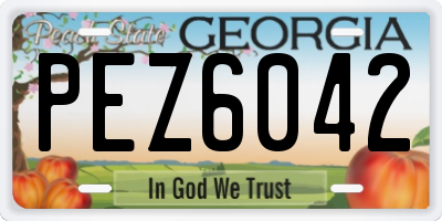GA license plate PEZ6042
