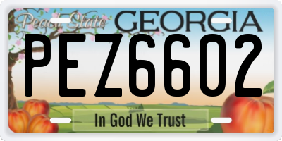 GA license plate PEZ6602