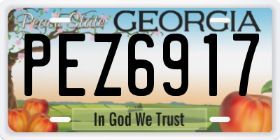 GA license plate PEZ6917