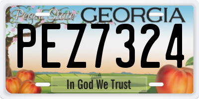 GA license plate PEZ7324