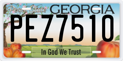GA license plate PEZ7510
